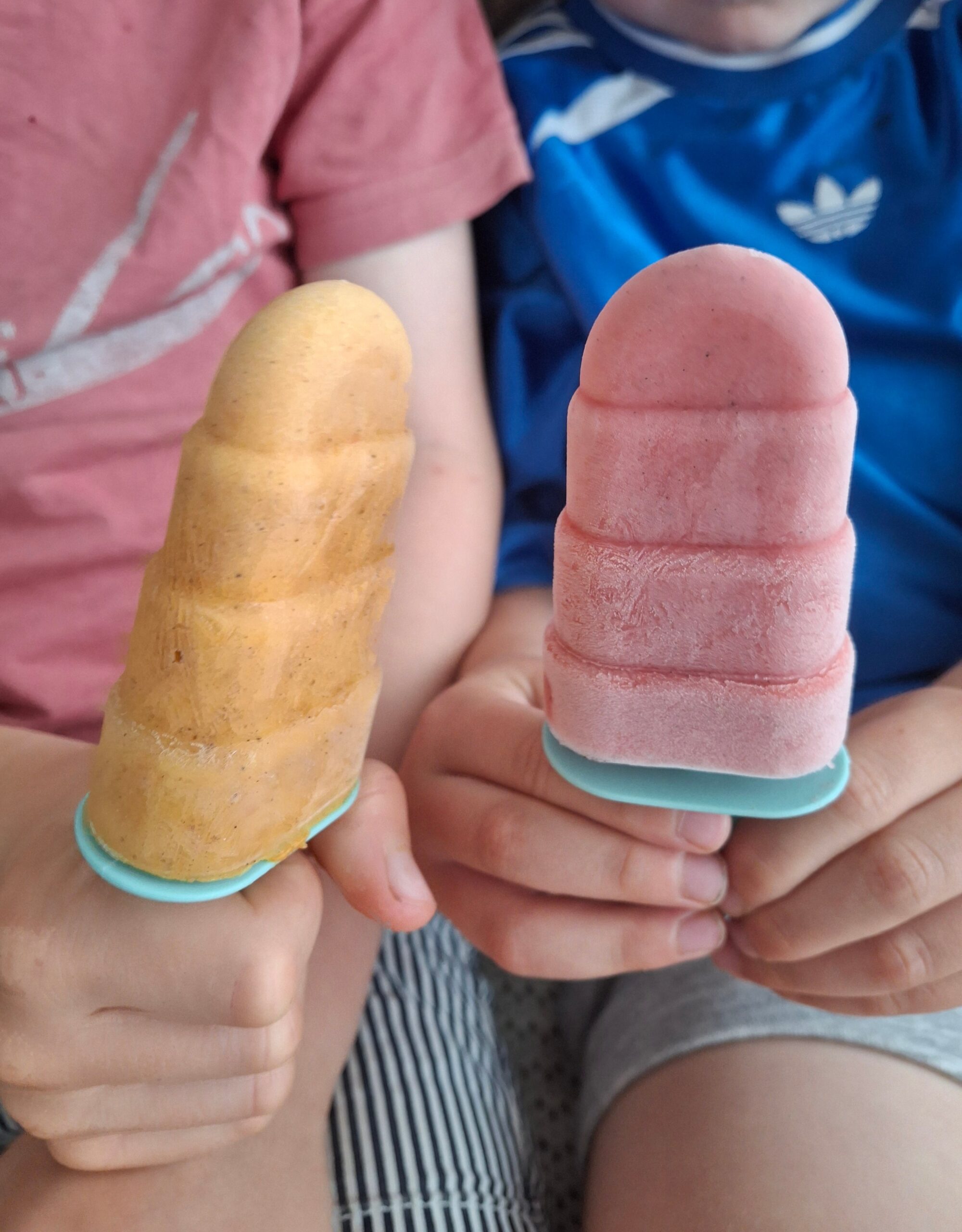 Am bild sieht man zwei Kinder die ein selbstgemachtes, gesundes Eis am Stiel in der Hand halten